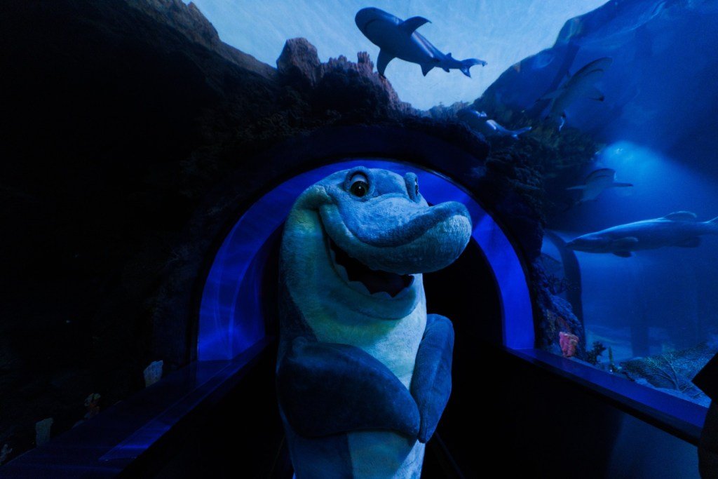 SeaWorld is giving the people what they want – San Diego Union-Tribune
