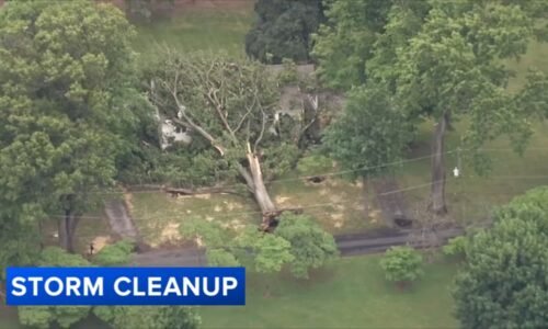 Severe storm downs trees and power lines in Montgomery County, Pennsylvania, leaving thousands without power