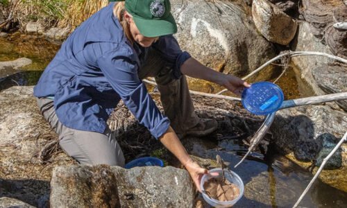 Southwest Conservation Program