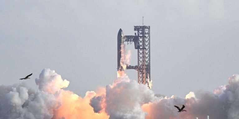 SpaceX heads into IPO with 'deepest moat that exists' as investors vow to 'never bet against Elon'