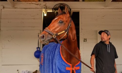 Springfield couple owns 1 of the 2026 Kentucky Derby favorites