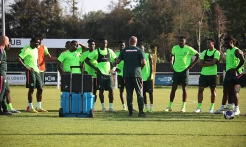 Super Eagles