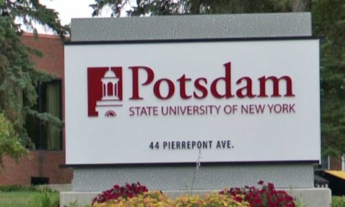 Teenager arrested after SUNY student dies in hit and run