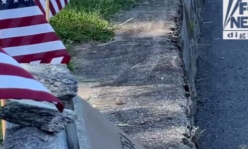 This Memorial Day, we remember all those who gave their lives for America