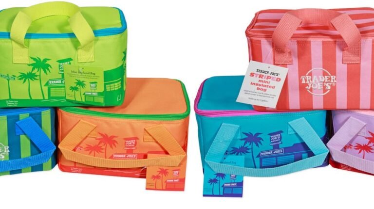 Trader Joe's unveils new insulated mini totes. When to snag one
