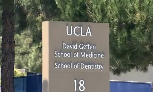 UCLA's David Geffen School of Medicine illegally used race in admissions, Department of Justice says