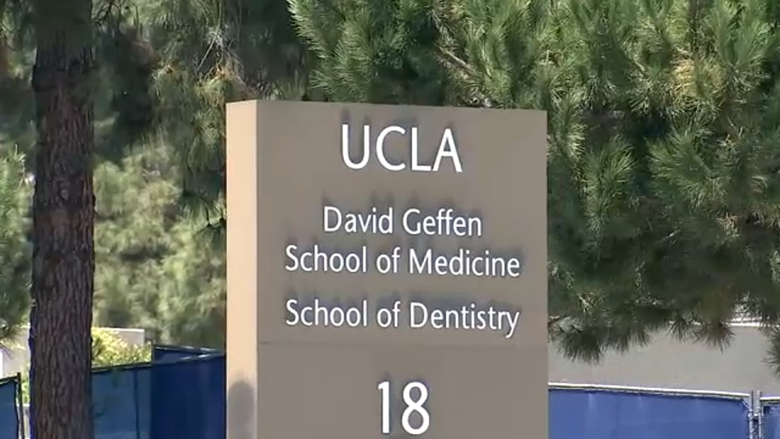 UCLA's David Geffen School of Medicine illegally used race in admissions, Department of Justice says