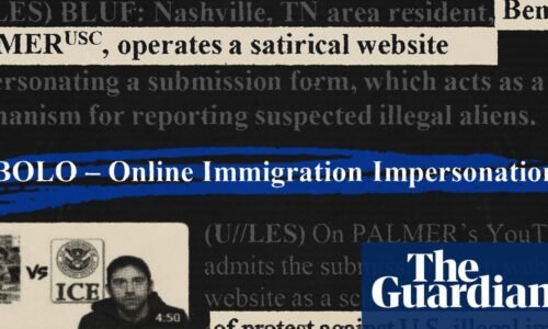 US homeland security put out alert on comedian who created parody ICE tip website | US immigration
