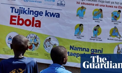 US is ‘simply choosing not to stop’ Ebola outbreak after massive public health cuts, experts say | Ebola