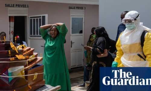 US temporarily bans green-card holders from entering country from African nations | Trump administration