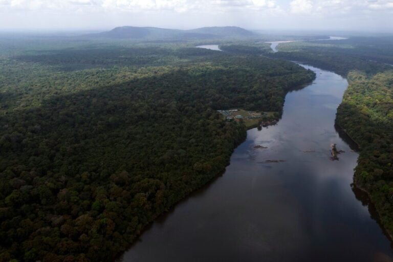 Venezuela's Rodríguez to appear before UN court over mineral-rich Guyana region