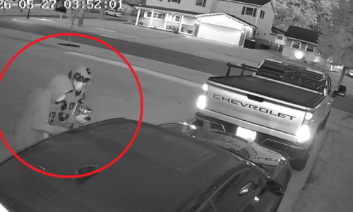 Video shows Elk Grove Village homeowner scaring off Camaro burglars