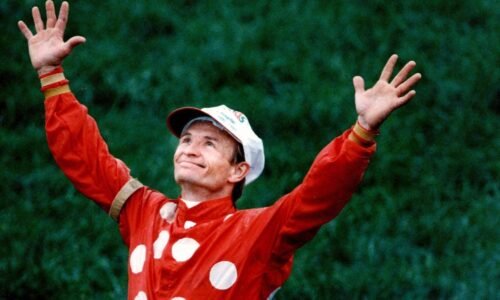 What to know about jockey