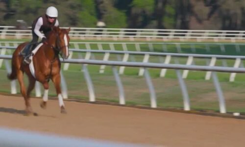 What's in a name? How Kentucky Derby horses get their unique names