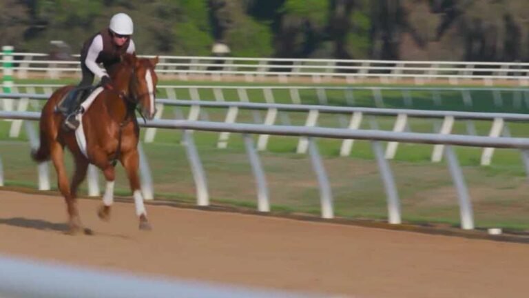 What's in a name? How Kentucky Derby horses get their unique names