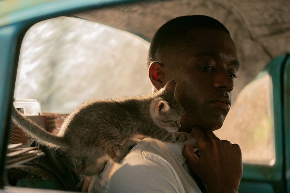 Who is Stanley in 'M.I.A.'? Dylan Jackson on His Role in New Peacock Series