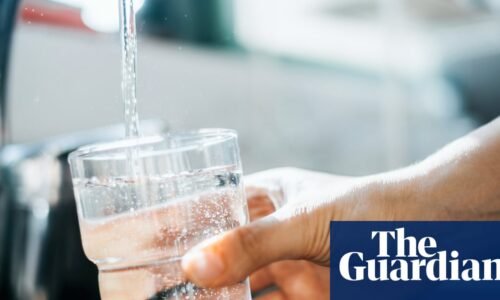 Why Trump administration’s plan to attempt to destroy Pfas is ‘nonsensical’ | Pfas
