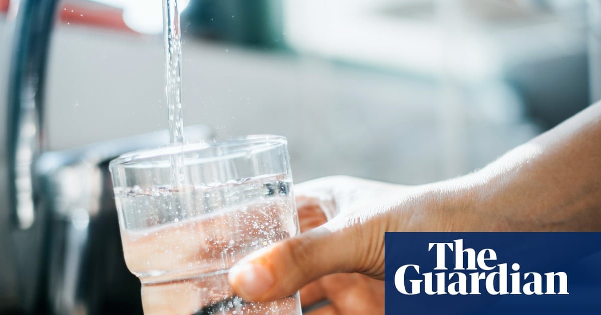 Why Trump administration’s plan to attempt to destroy Pfas is ‘nonsensical’ | Pfas