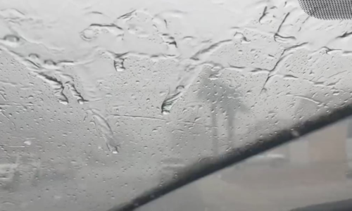 Widespread rain, storms expected Sunday