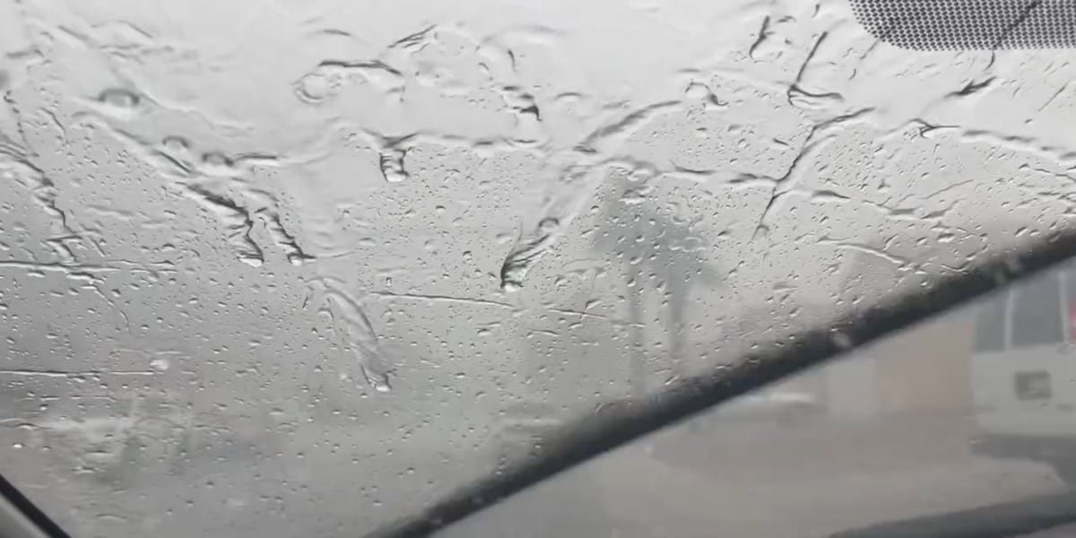 Widespread rain, storms expected Sunday