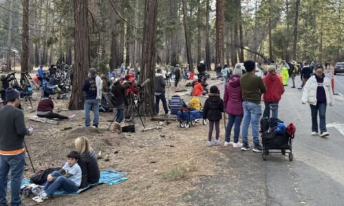 Traffic jam in Yosemite