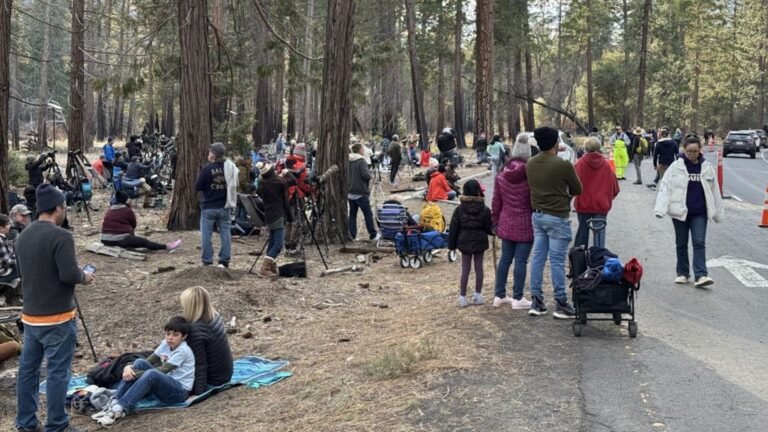 Traffic jam in Yosemite