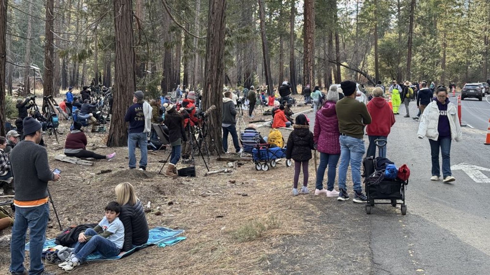 Traffic jam in Yosemite
