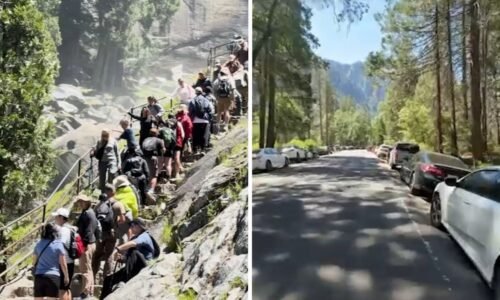 Yosemite National Park's reservation system ends, leading to 'chaos' in park over Memorial Day weekend