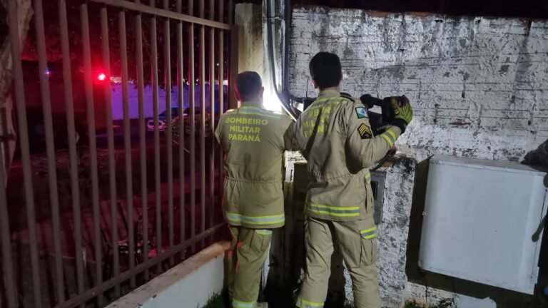 filhote fica preso em caixa de energia e mobiliza bombeiros em resgate delicado