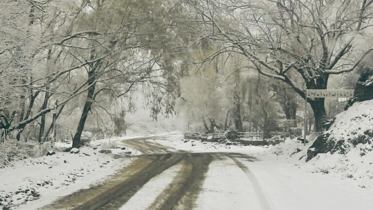 la nieve cubre montaña, Valle de Uco y el Sur