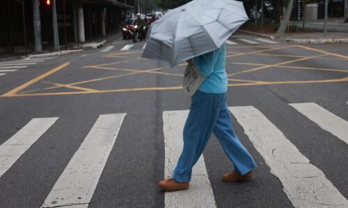 Alerta de geada prevê temperatura mínima de 4°C; veja regiões afetadas