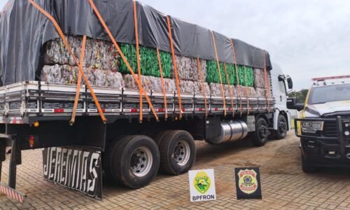 BPFRON e PF apreendem 550 quilos de maconha escondidos em caminhão na fronteira com a Argentina