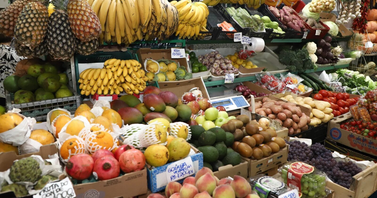 Como 230 mil pequenos agricultores do PR viraram gigantes globais do agronegócio