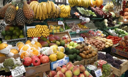Como 230 mil pequenos agricultores do PR viraram gigantes globais do agronegócio
