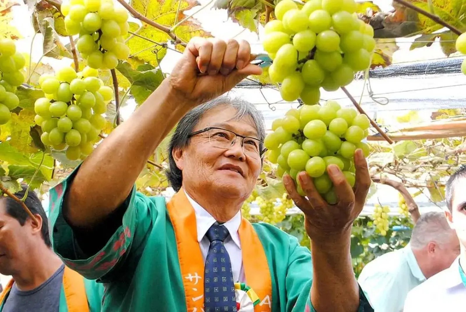 De onde vem a uva doce e gigante, que chegou a custar R$ 200 o kg