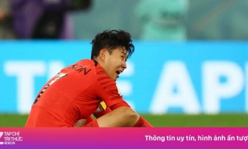 Vietnam.vn - Nền tảng quảng bá Việt Nam