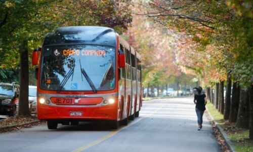 Entenda o que trava a nova licitação do transporte coletivo de Curitiba