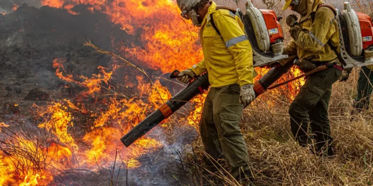 Governo repassa R$ 337 milhões para combate a incêndios e desmatamento