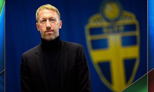 Graham Potter was appointed Sweden head coach in October following his sacking by West Ham