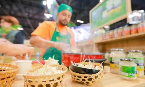 Ingrediente amazônico premiado no exterior pode conquistar paranaenses