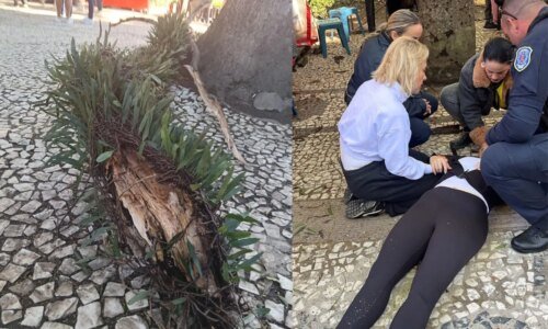 Jovem é atingida por galho no centro de Curitiba e perde movimento das pernas