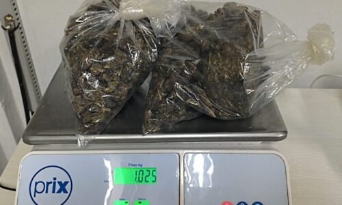 Jovem paraguaio é preso com mais de 1 kg de maconha durante fiscalização na PR-585