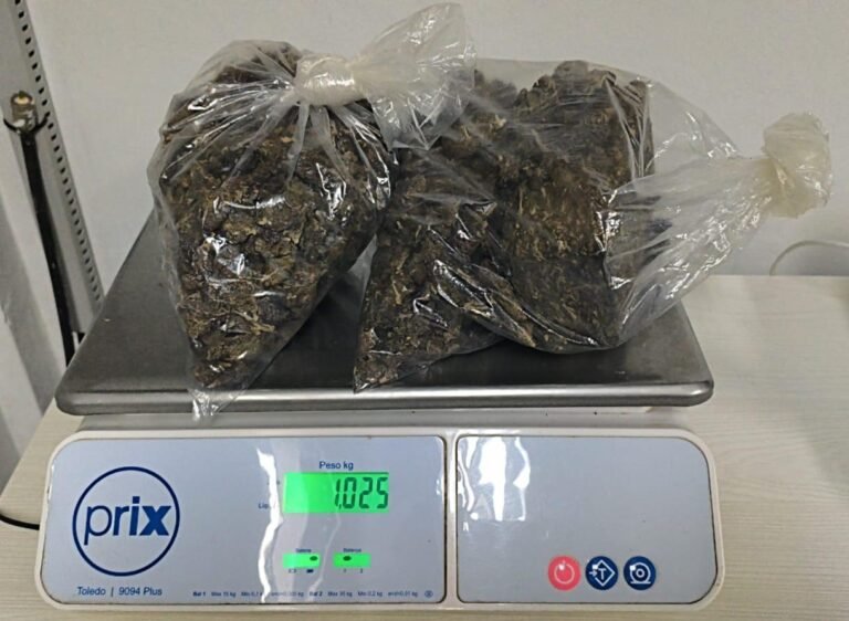 Jovem paraguaio é preso com mais de 1 kg de maconha durante fiscalização na PR-585