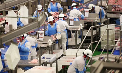 Paraná cobra governo federal após bloqueio da carne bovina e outros produtos pela União Europeia