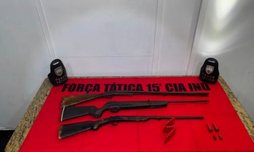 Polícia Militar apreende armas e munições em Mimoso do Sul