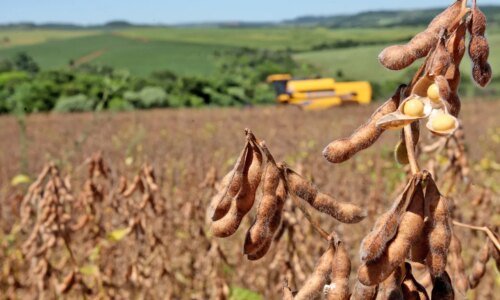 Programa de R$ 20 milhões seleciona projetos para agro do Paraná