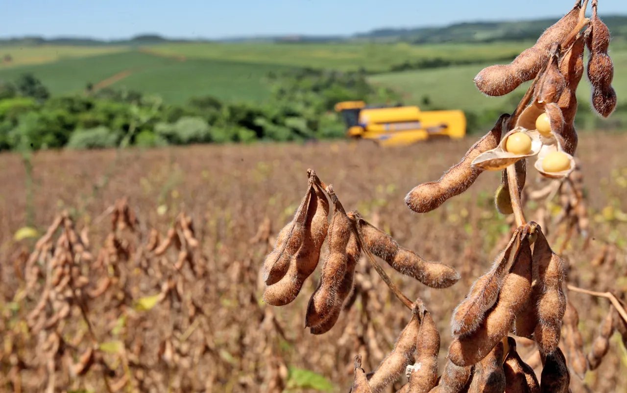 Programa de R$ 20 milhões seleciona projetos para agro do Paraná