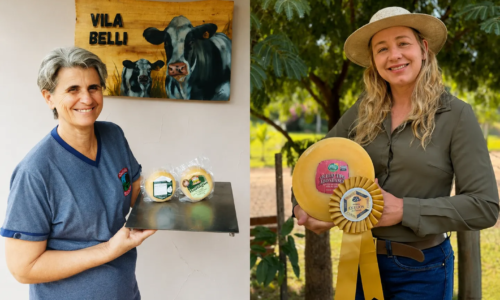 Queijos do Paraná que merecem entrar no seu radar gastronômico