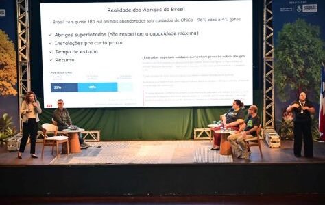 Semana do Meio Ambiente: Prefeitura lança programa Carroça Legal durante evento - Prefeitura Municipal de Vitória da Conquista