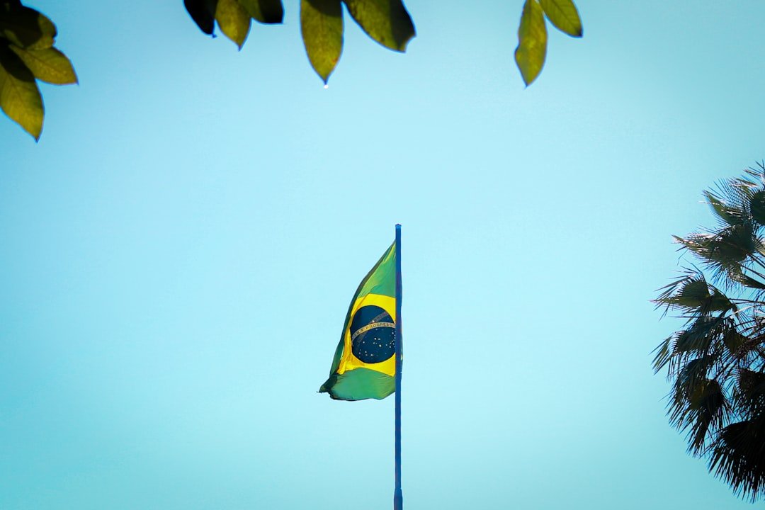 Quanto custa, o que muda no processamento e como decidir o melhor caminho — brazil cpf documents